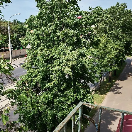 Kozlova,23 Минск